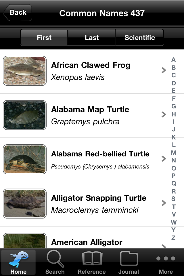 iPhone Screenshot 1